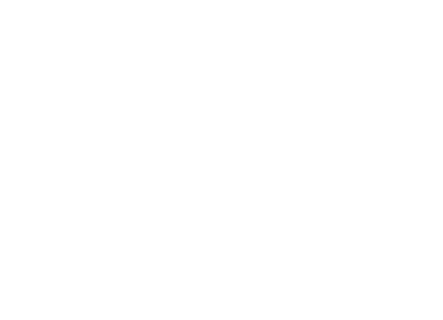 Festos Logo