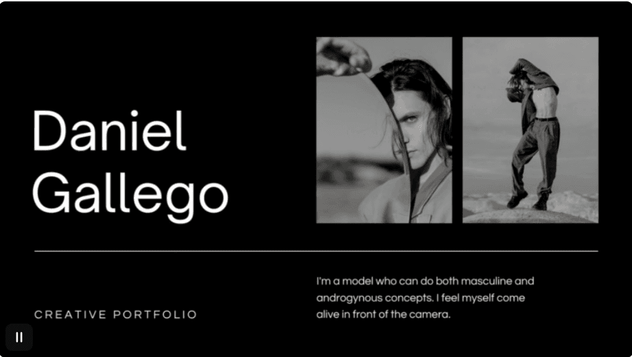 Portfolio & Services